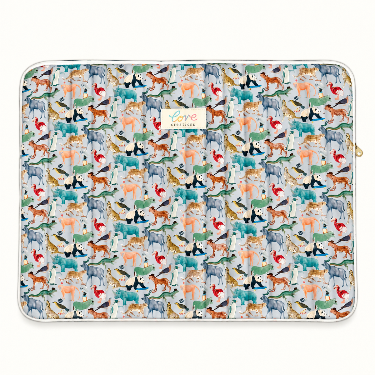 Laptop cases & iPad cases